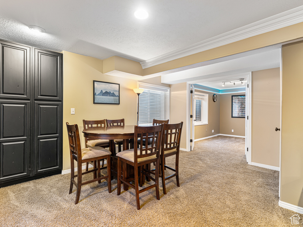 558 S 50 E Kaysville, UT 84037