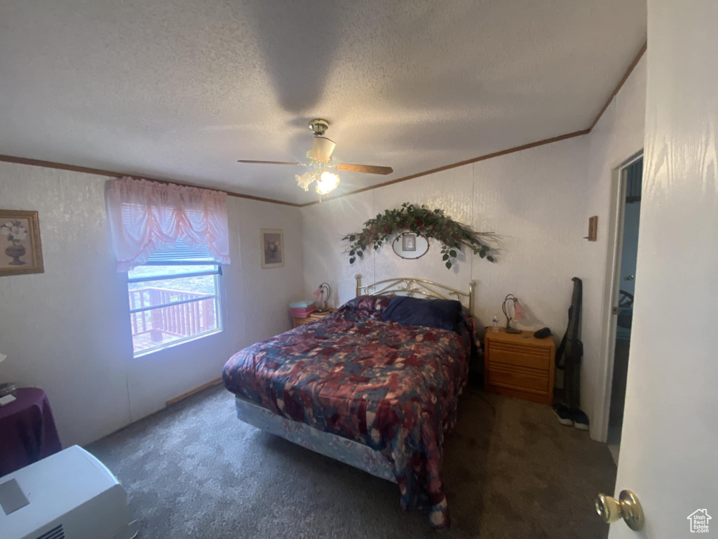 Photo 12 for MLS #2111710 at 45711 W Colt Rd #131