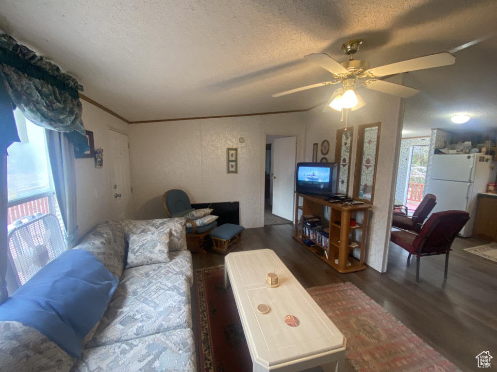 Photo 11 for MLS #2111710 at 45711 W Colt Rd #131