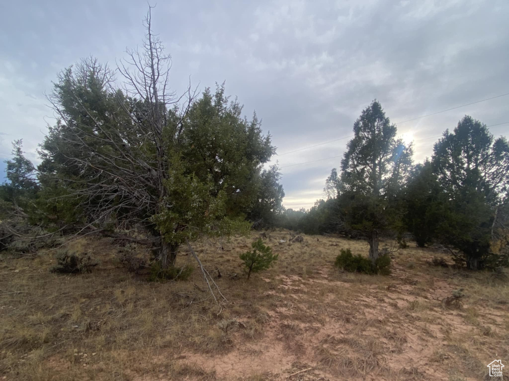 Photo 33 for MLS #2111710 at 45711 W Colt Rd #131