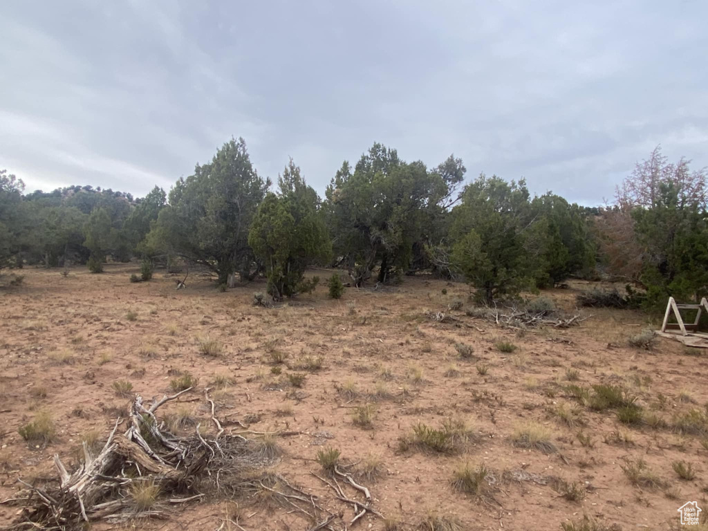 Photo 30 for MLS #2111710 at 45711 W Colt Rd #131