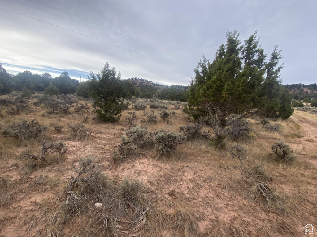 Photo 34 for MLS #2111710 at 45711 W Colt Rd #131