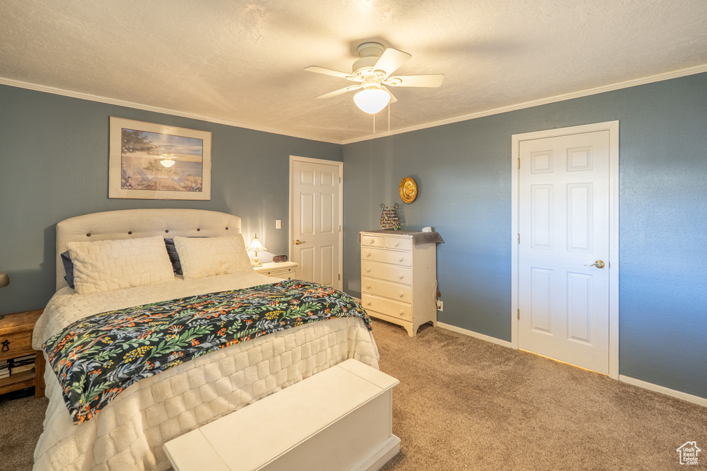 Photo 31 for MLS #2111719 at 491 Marcus Ct