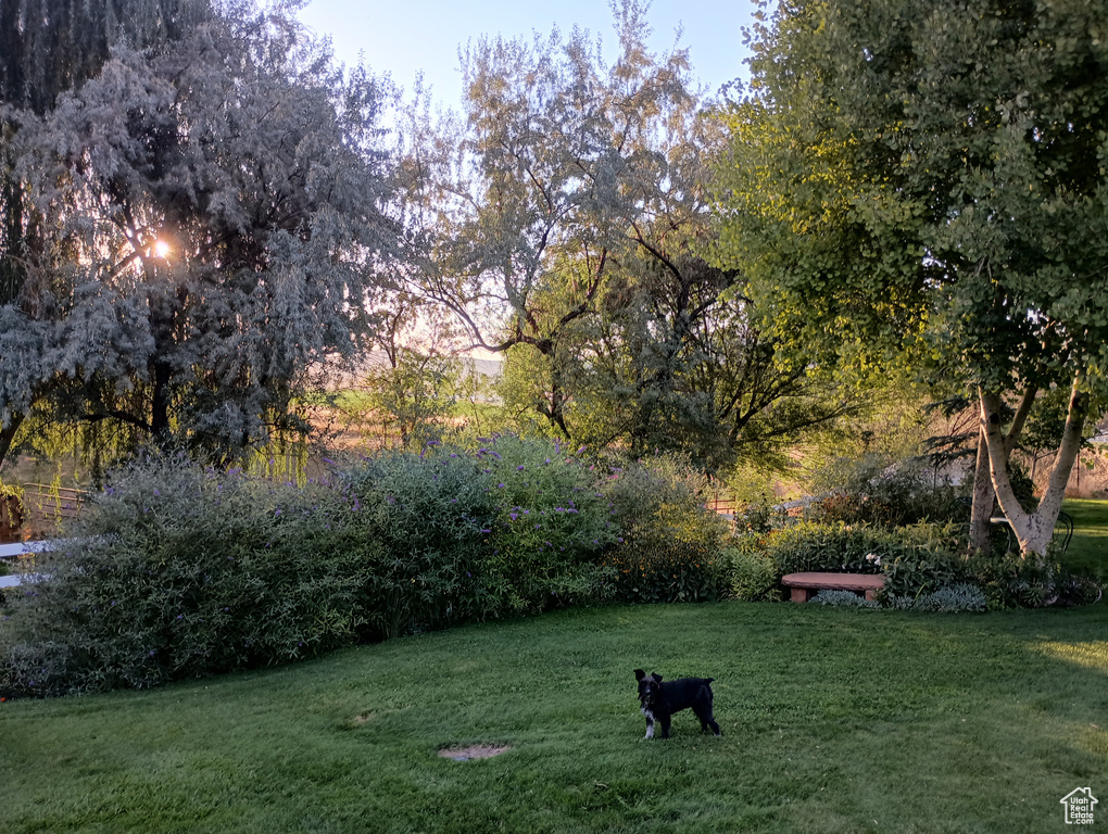 4125 W 12000 S Payson, UT 84651