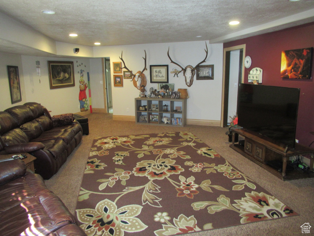 4125 W 12000 S Payson, UT 84651