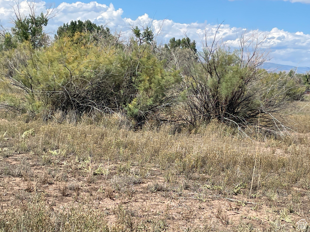 600 W POLE LINE Roosevelt, UT 84066