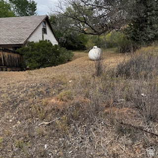 Photo 7 for MLS #2111808 at 4709 E Independence Rd