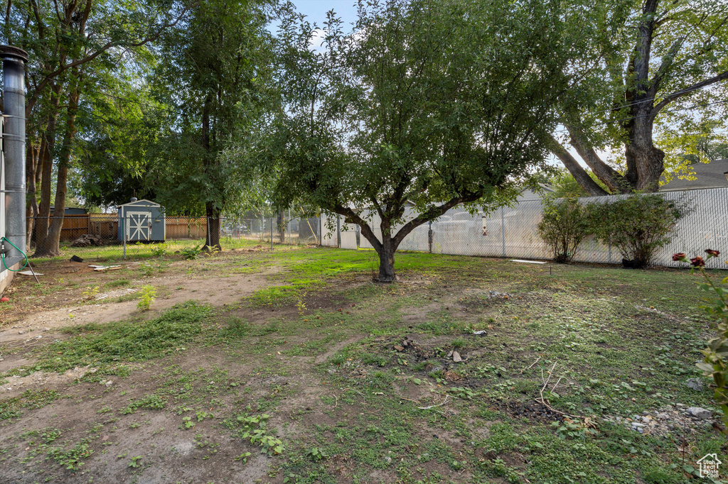 Photo 23 for MLS #2111911 at 955 Kiesel Ave