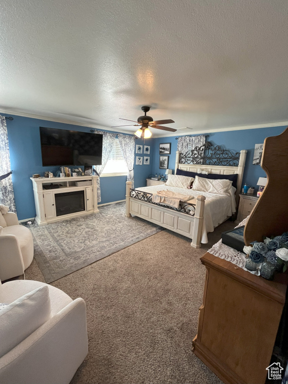 Photo 10 for MLS #2111946 at 1195 Wildflower Ln