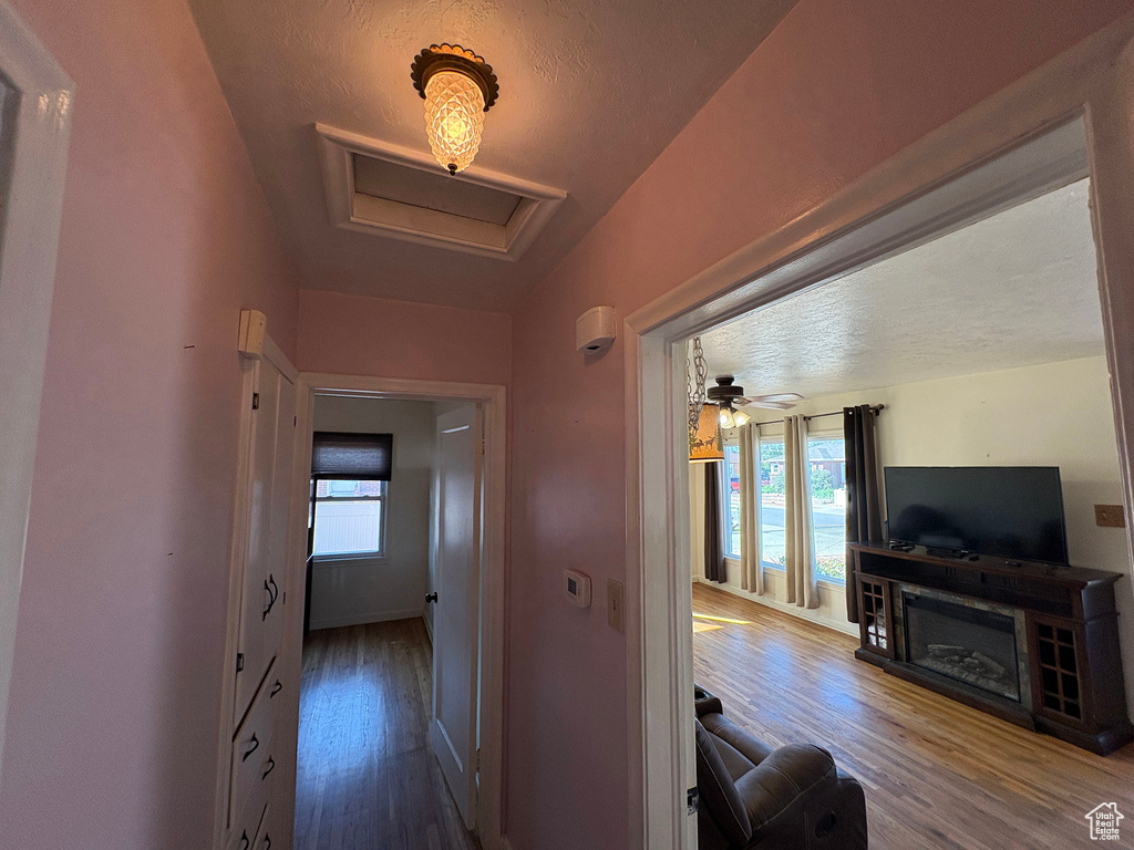 Photo 8 for MLS #2111971 at 7427 S Elm St