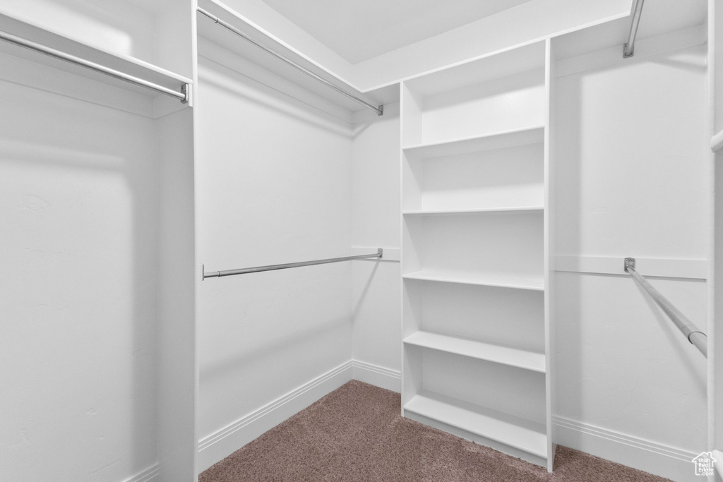 1131 E ROUND MOUNTAIN DR Alpine, UT 84004