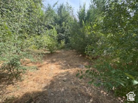 1648 E 4150 S Salt Lake City, UT 84124