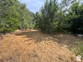 1648 E 4150 S Salt Lake City, UT 84124