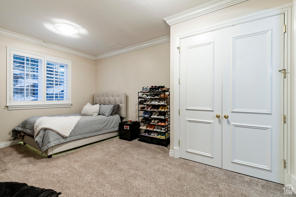 10228 S ALTAVILLA DR Sandy, UT 84092