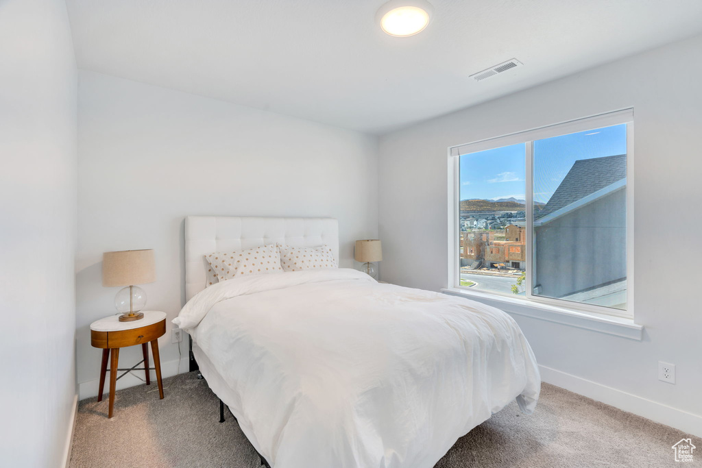 917 N OLSON DR Saratoga Springs, UT 84045