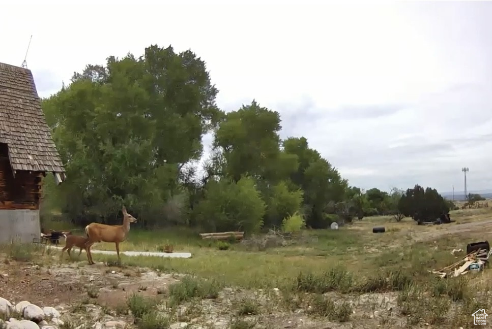 7374 N 3250 W Roosevelt, UT 84066