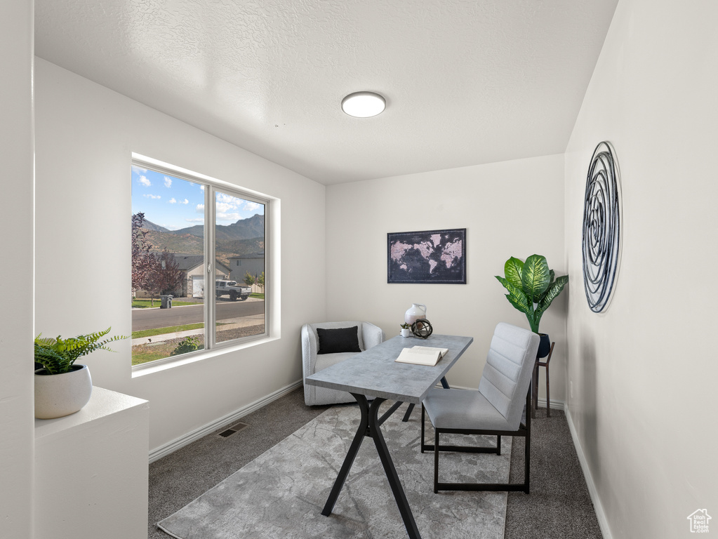 1696 S LONGVIEW RD Santaquin, UT 84655