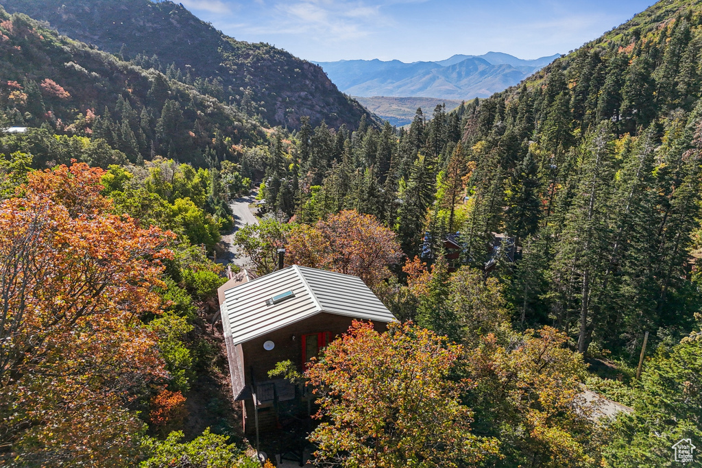 Mountain view with a heavily wooded area