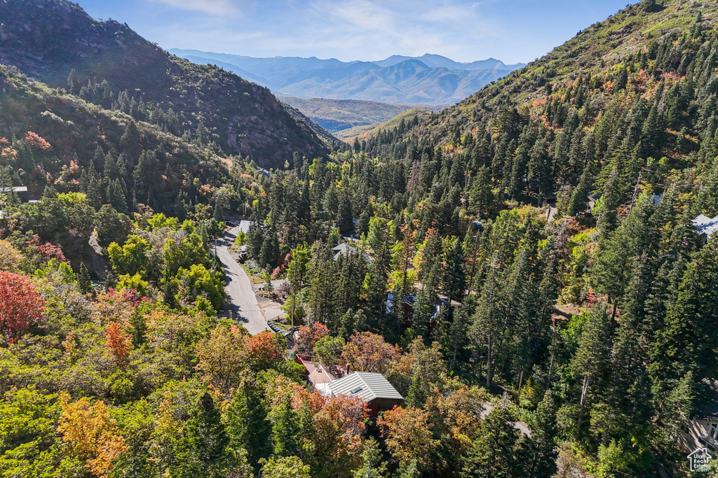 View of mountain background featuring a heavily wooded area