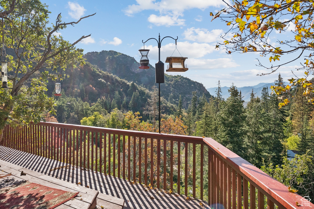 Mountain view featuring a forest