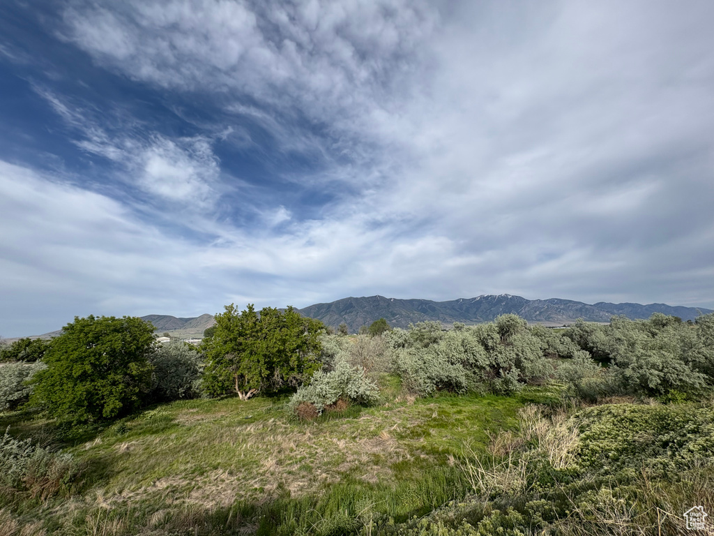 1215 S 100 E Tremonton, UT 84337