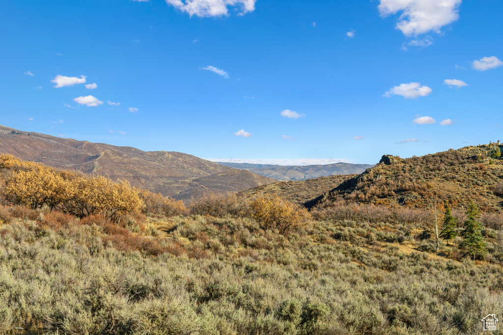 Photo 6 for MLS #2112113 at 2907 14th View Cir