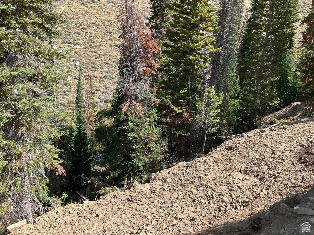 5940 N 1040 E Scofield, UT 84526