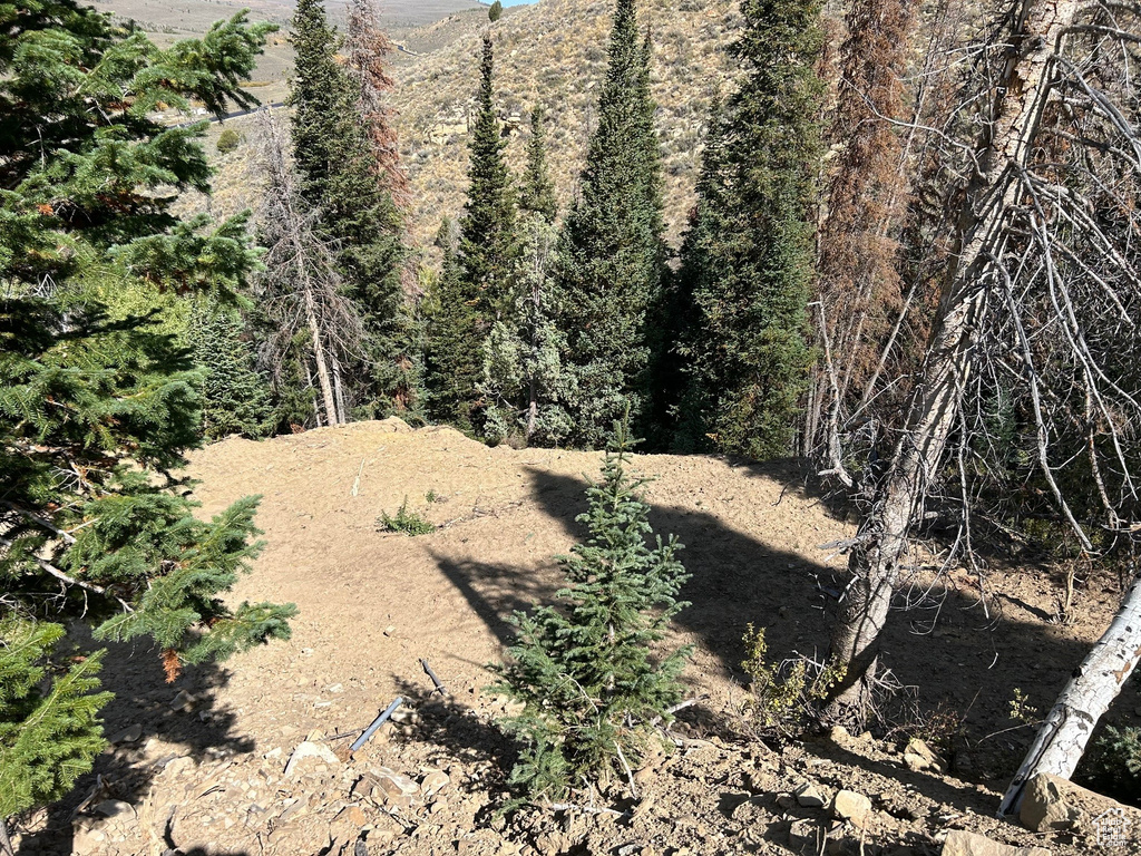 5940 N 1040 E Scofield, UT 84526