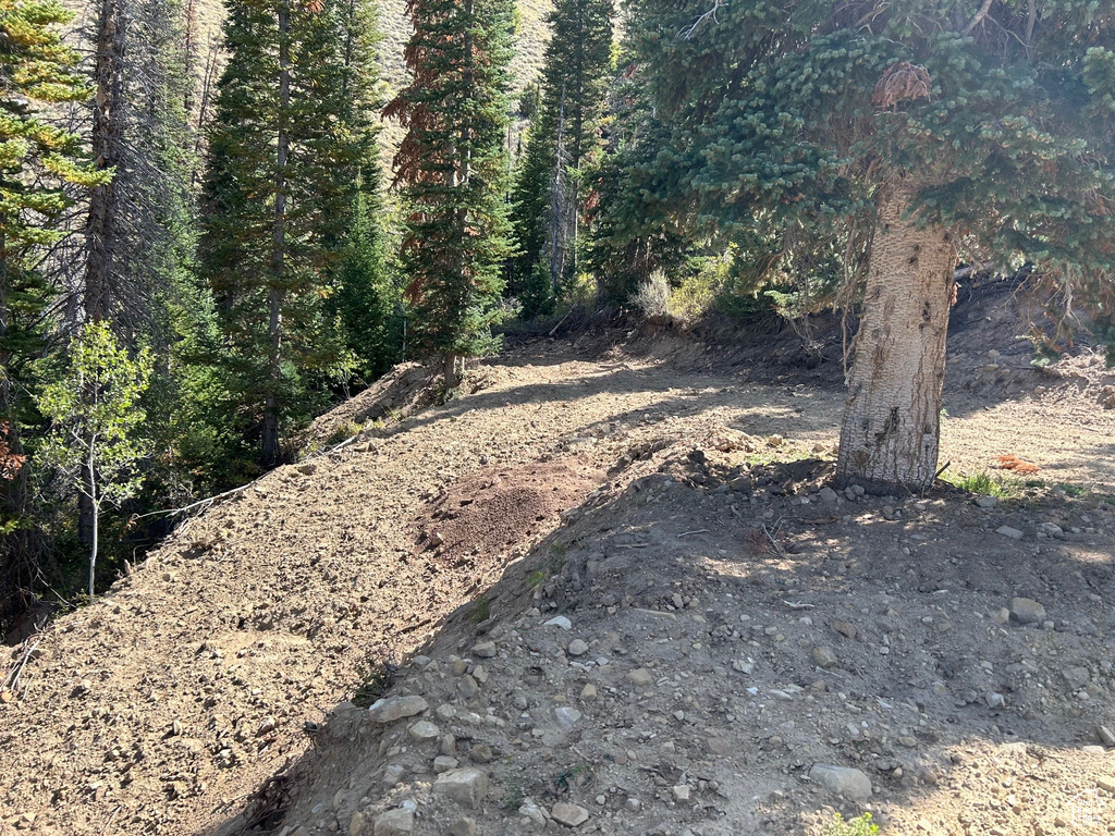 5940 N 1040 E Scofield, UT 84526