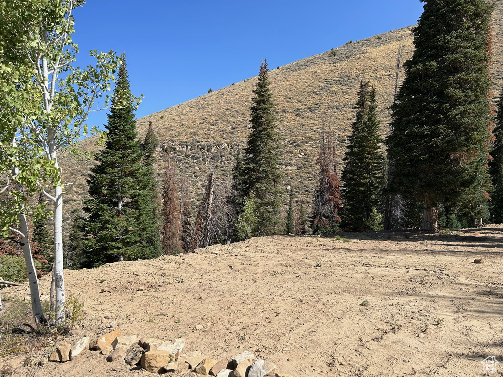 5940 N 1040 E Scofield, UT 84526