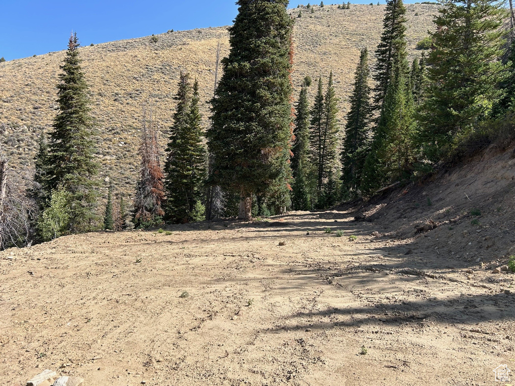 5940 N 1040 E Scofield, UT 84526