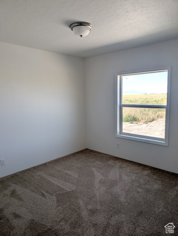 338 E 1600 S Lewiston, UT 84320