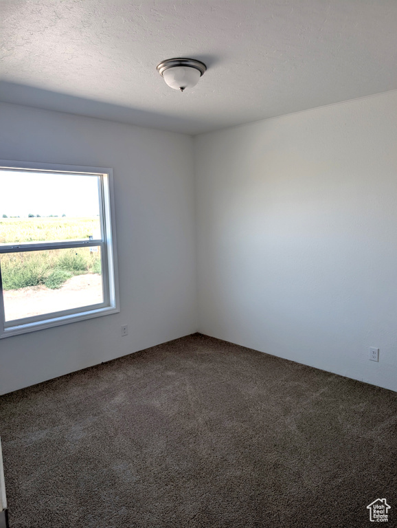 338 E 1600 S Lewiston, UT 84320