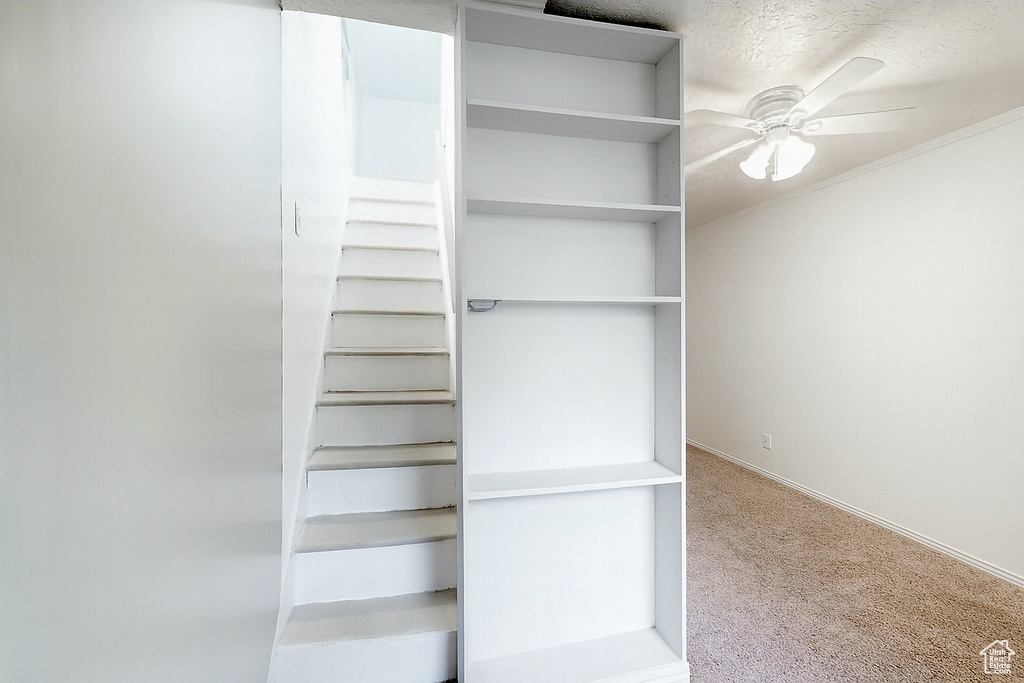 Photo 14 for MLS #2112206 at 250 9th St