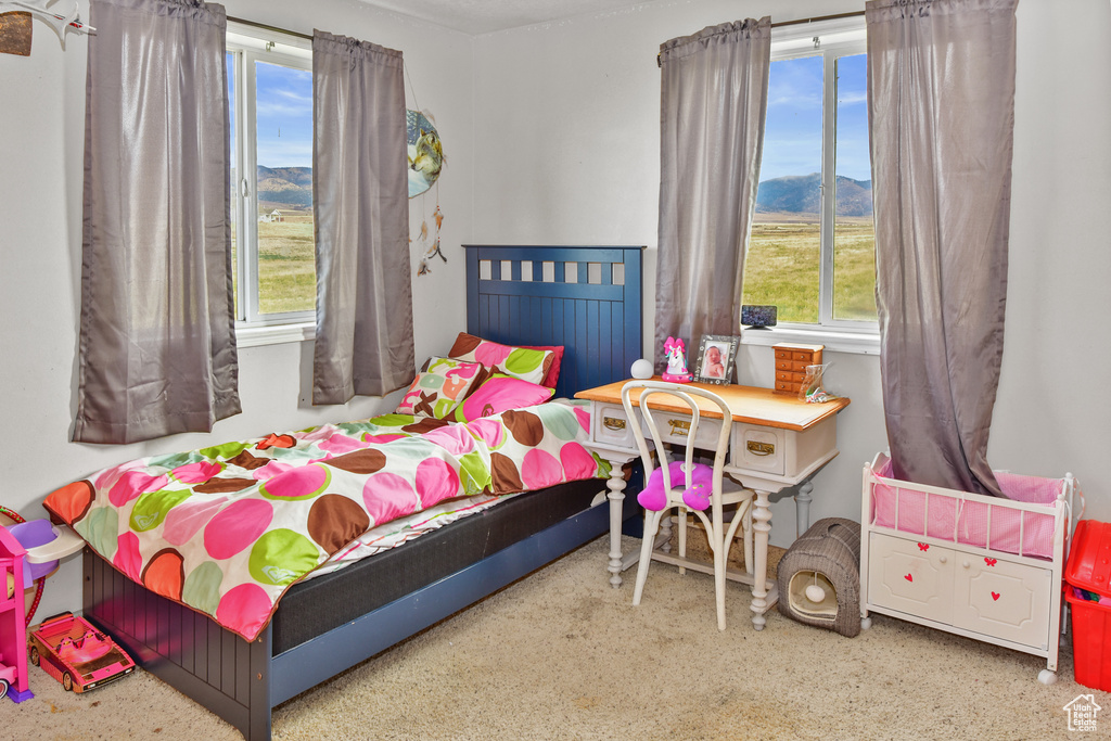 19690 S OLSON RD Downey, ID 83234