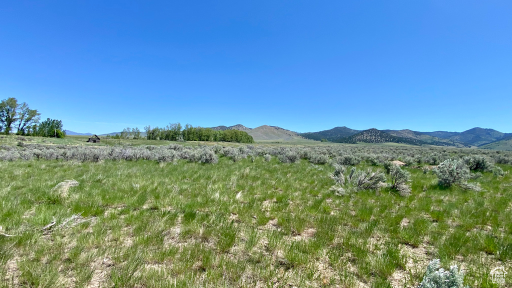  Downey, ID 83234