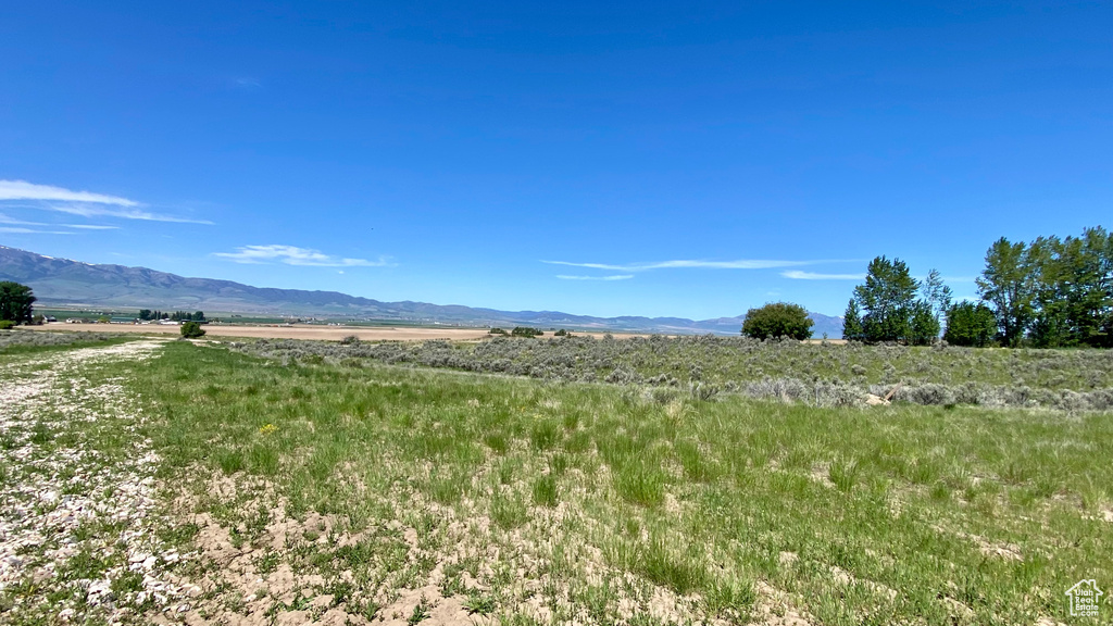  Downey, ID 83234