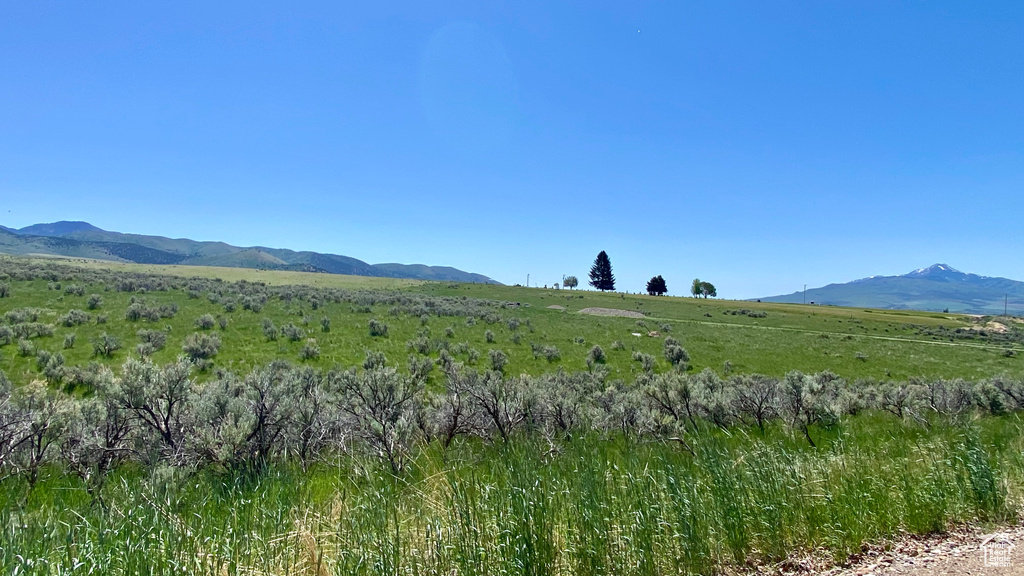  Downey, ID 83234