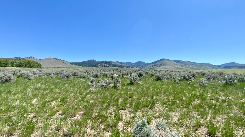  Downey, ID 83234