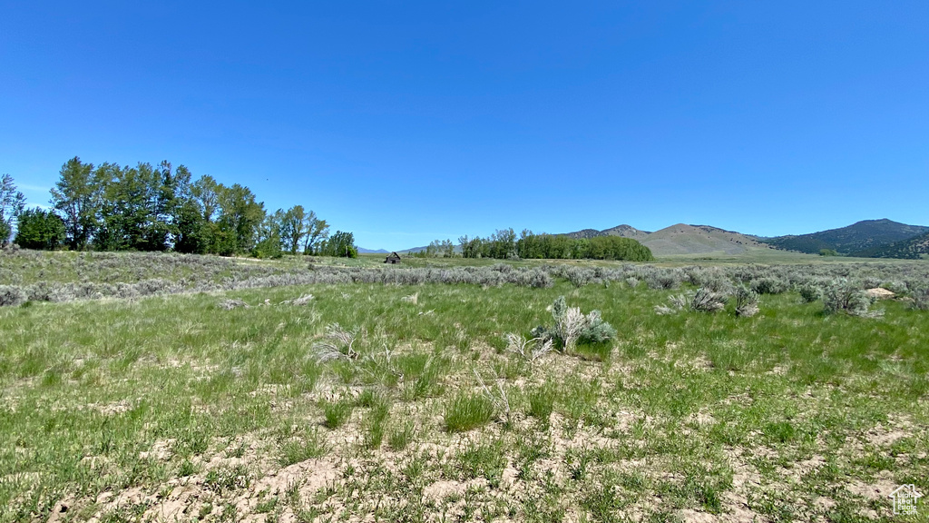  Downey, ID 83234