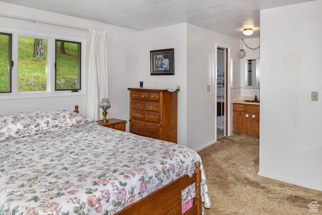 2197 S MARSH CREEK RD McCammon, ID 83250