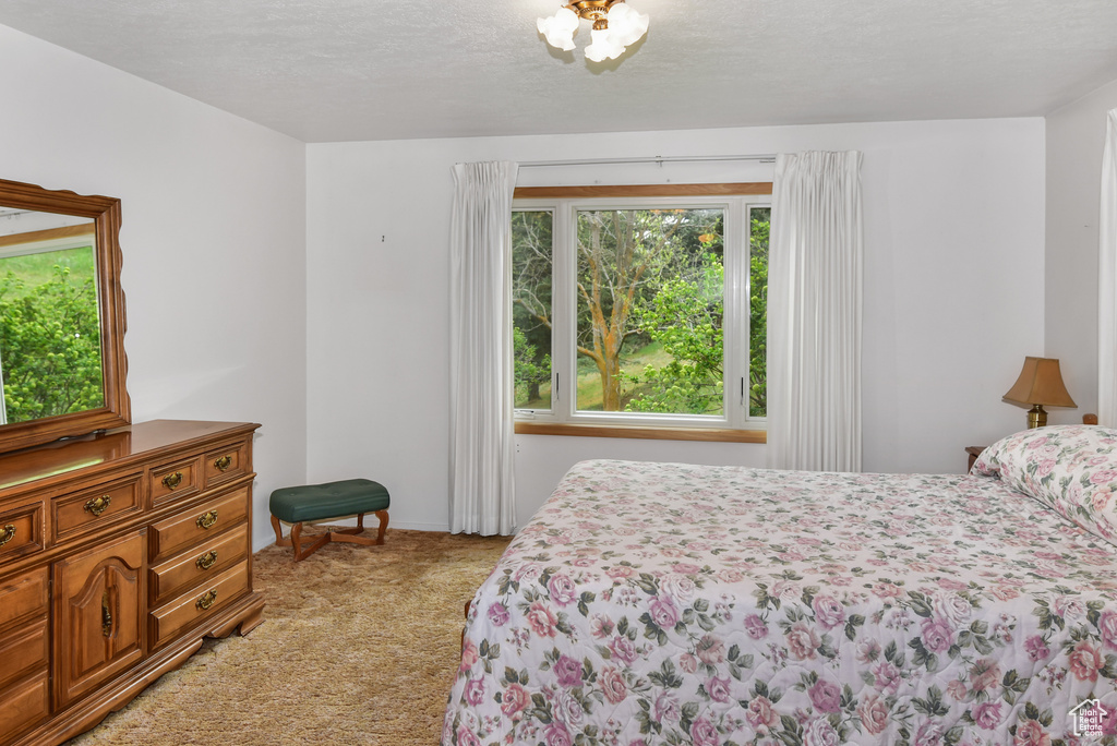 2197 S MARSH CREEK RD McCammon, ID 83250
