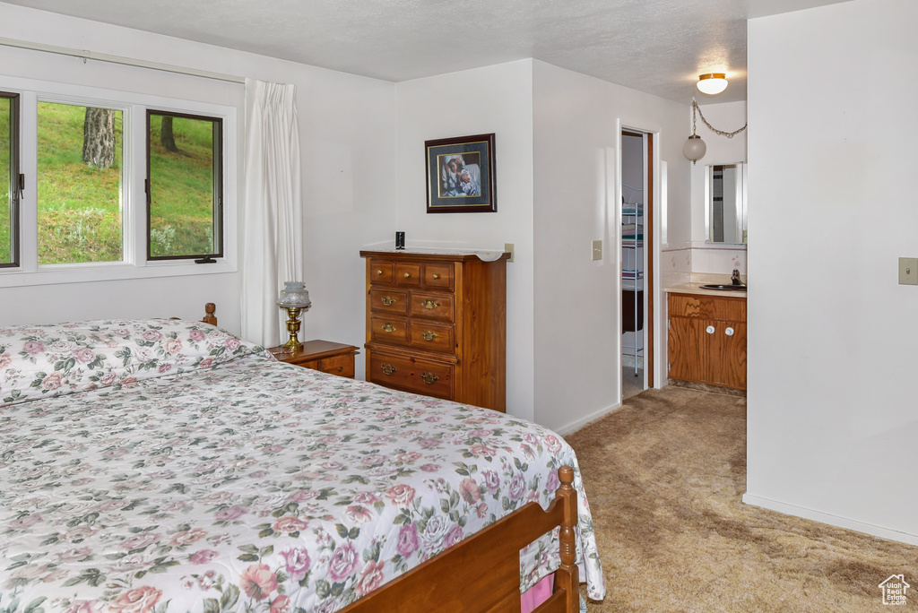 2197 S MARSH CREEK RD McCammon, ID 83250