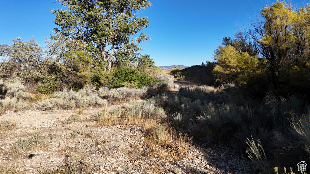 1200 E OLD HWY 10 Salina, UT 84654