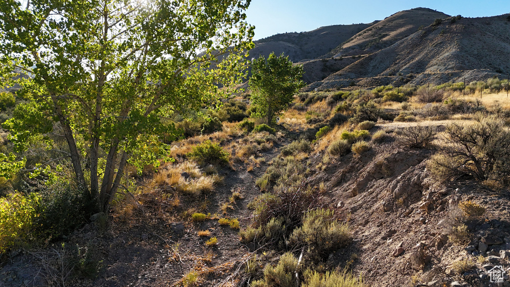1200 E OLD HWY 10 Salina, UT 84654