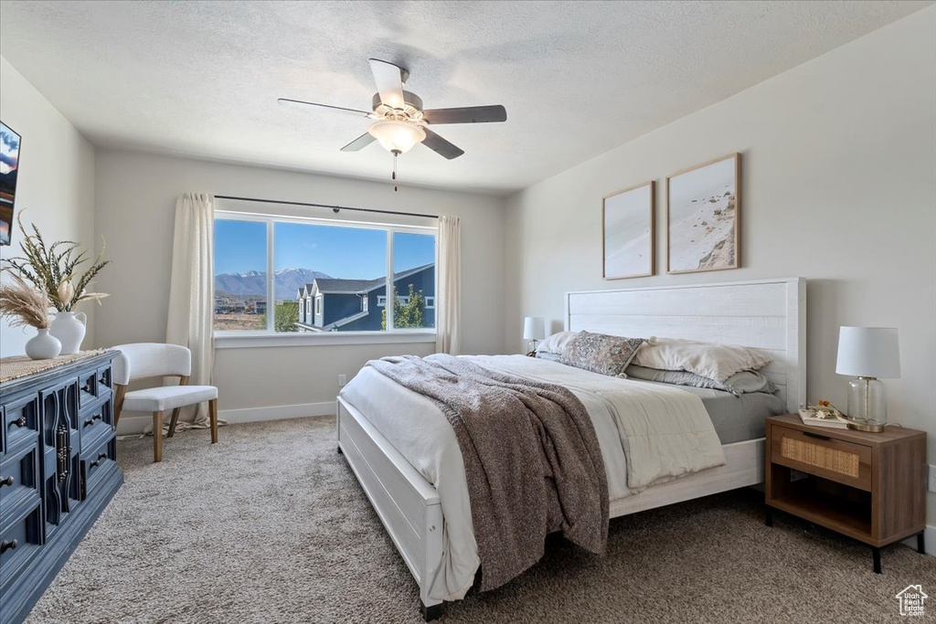 Photo 11 for MLS #2112296 at 8112 N Clydesdale Dr
