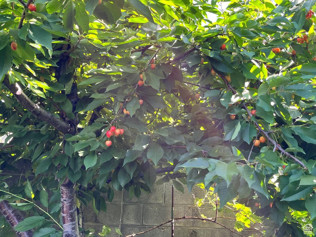 4085 S OLYMPIC WAY Holladay, UT 84124