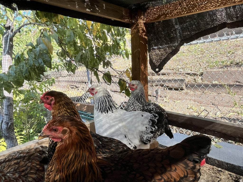 4085 S OLYMPIC WAY Holladay, UT 84124