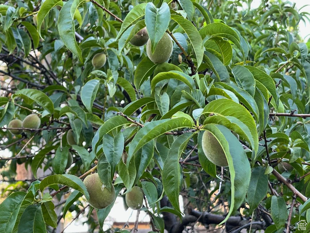 4085 S OLYMPIC WAY Holladay, UT 84124