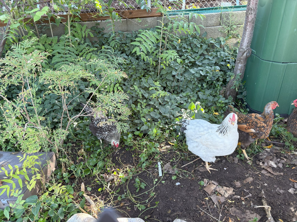 4085 S OLYMPIC WAY Holladay, UT 84124